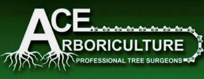 Ace Arborist Ltd logo