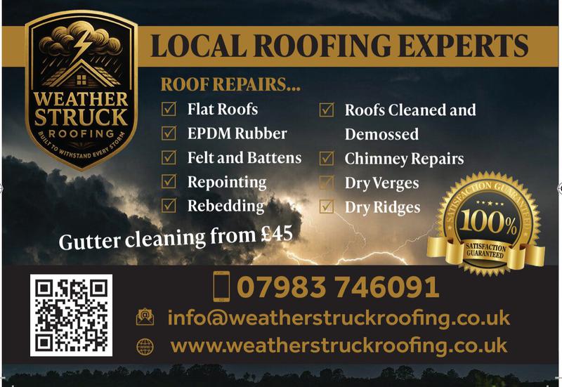 Weather Struck Roofing logo