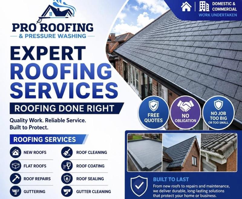 Pro Roofing & Pressure Washing logo