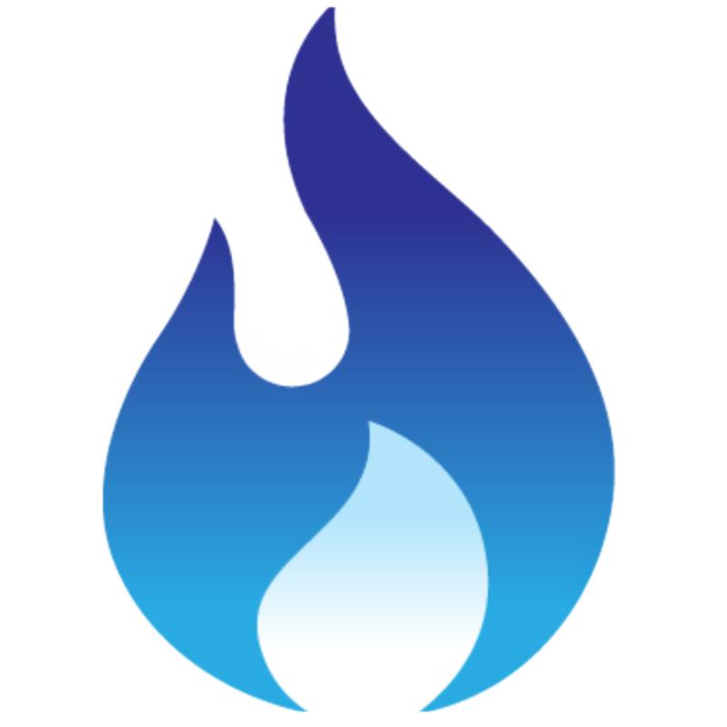 Burgess Gas Services Ltd logo