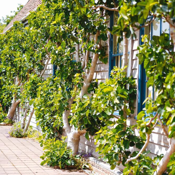 Garden inspiration: Summer House Uses