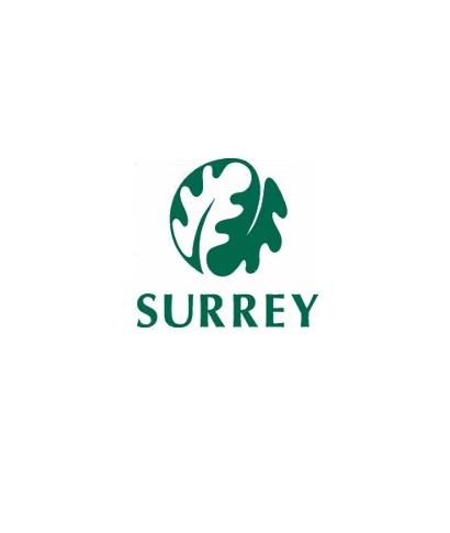Surrey County Council logo