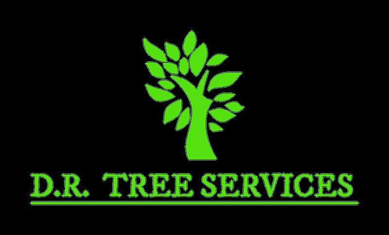 DR Tree Services logo