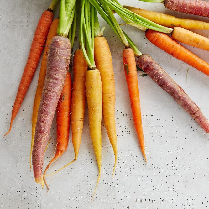 The Kitchen Garden - Sowing in July