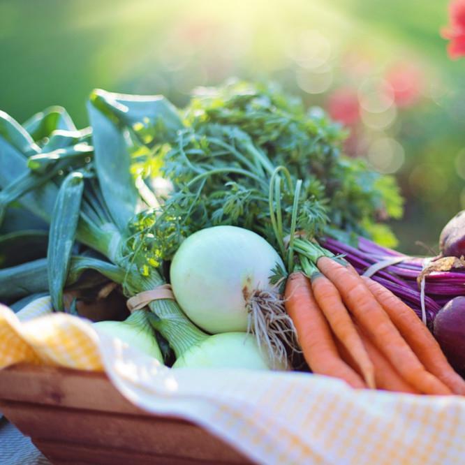 The Top Five: Vegetables To Grow This Summer