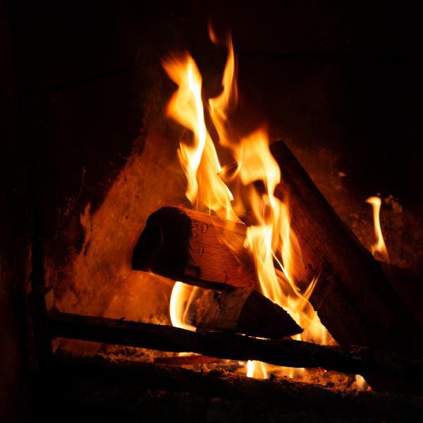 Wood Burners: The Basics