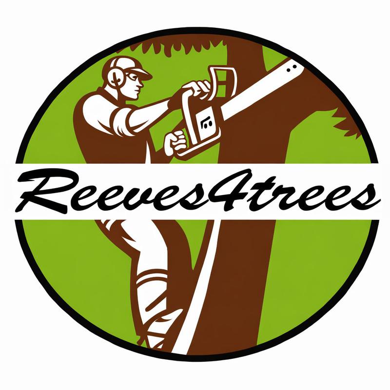 Reeves 4 Trees logo