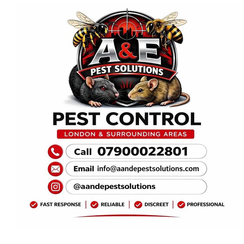 A&E Pest Solutions logo